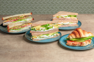 מגוון כריכים